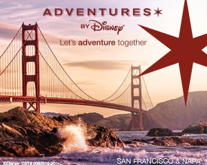 What is Adventures By Disney?