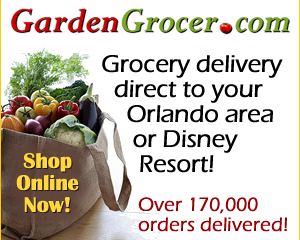 Grocery Delivery In Walt Disney World Magical Memory Planners