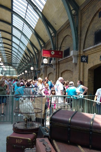 Platform 9 3_4 in Kings Cross Station