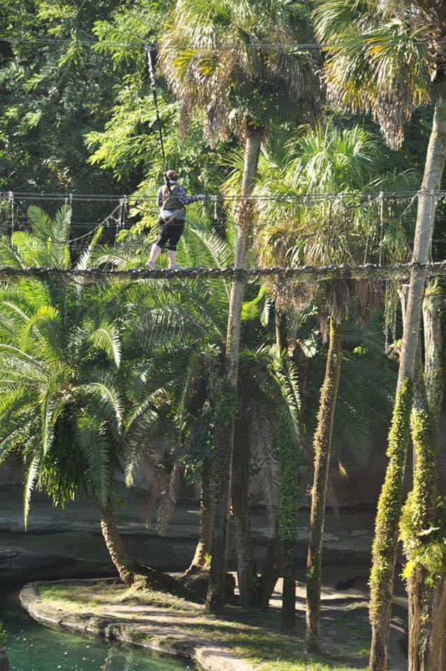 Rope Bridge