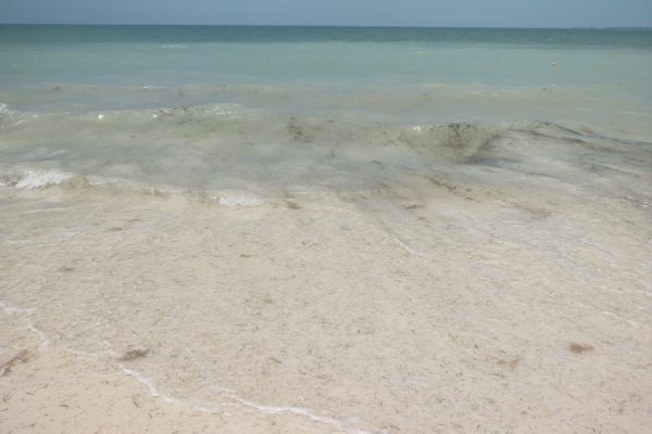 Beach at Dreams Playa Mujeres