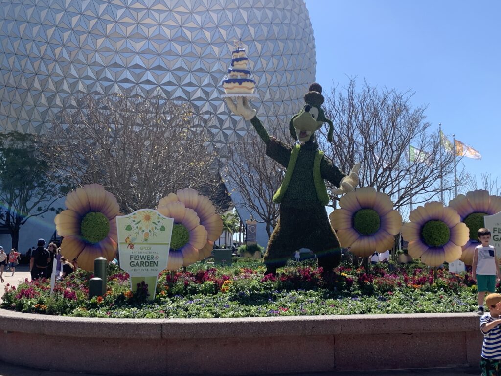 Goofy Topiary at Epcot's Flower and Garden Festival