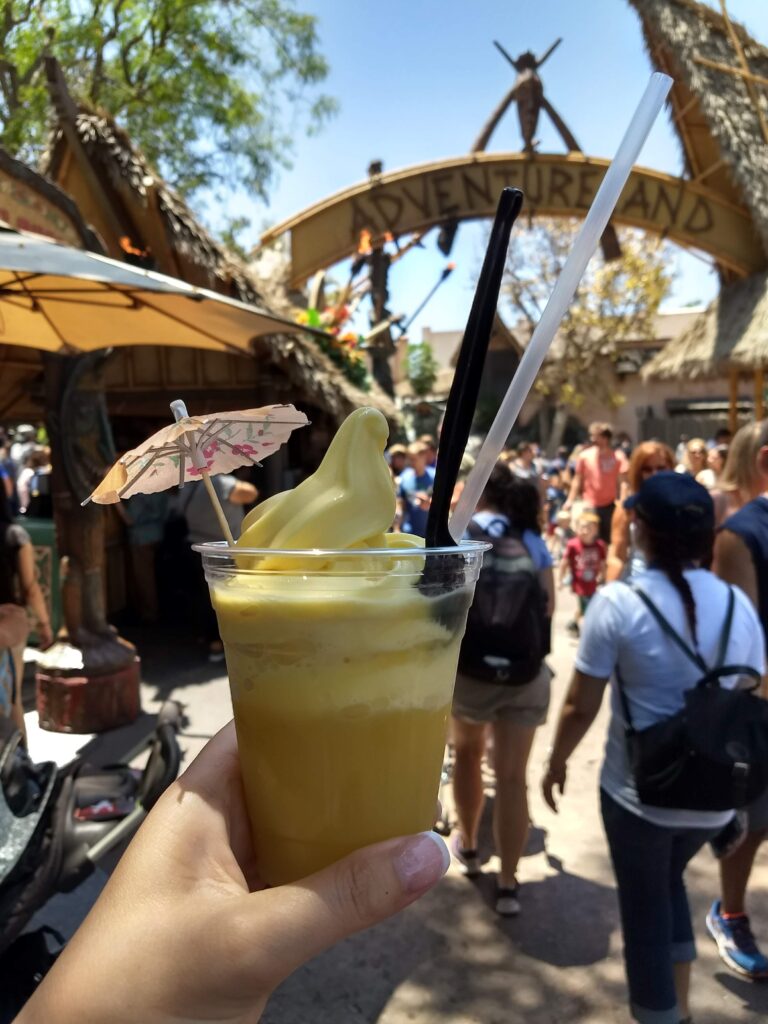 Best Places to eat at magic kingdom for a snack is the Dole Whip