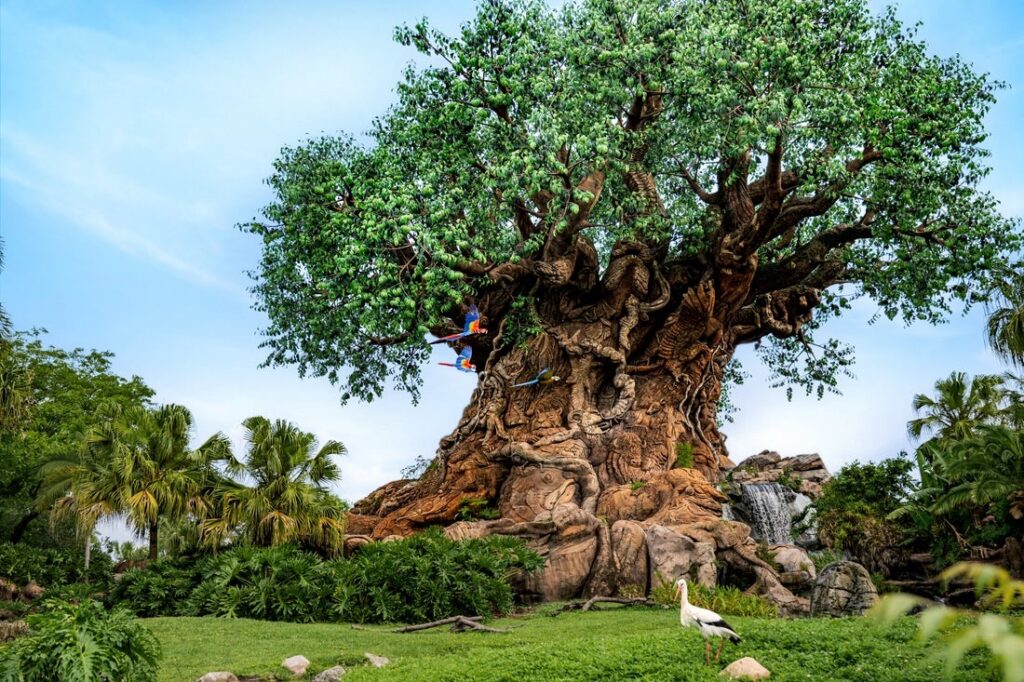 The iconic Tree of Life at Disney’s Animal Kingdom theme park at Walt Disney World, featuring intricate animal carvings along its trunk and lush greenery surrounding its base.